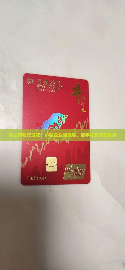 密山市银行贷款？小微企业融资难、数字化转型成热点