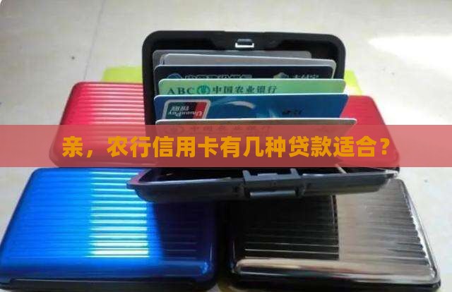 亲，农行信用卡有几种贷款适合？