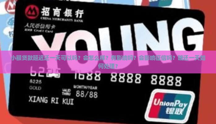 小额贷款延迟还一天 小额贷款延迟还一天