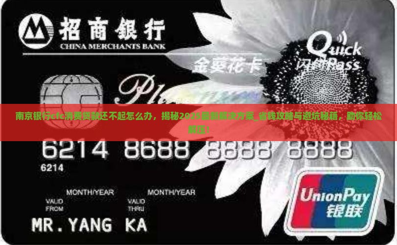 南京银行cfc消费贷款还不起怎么办