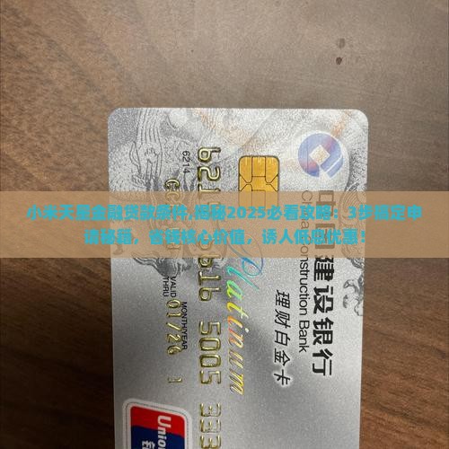 小米天星金融贷款条件