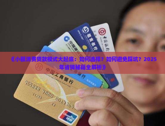 小额消费贷款模式