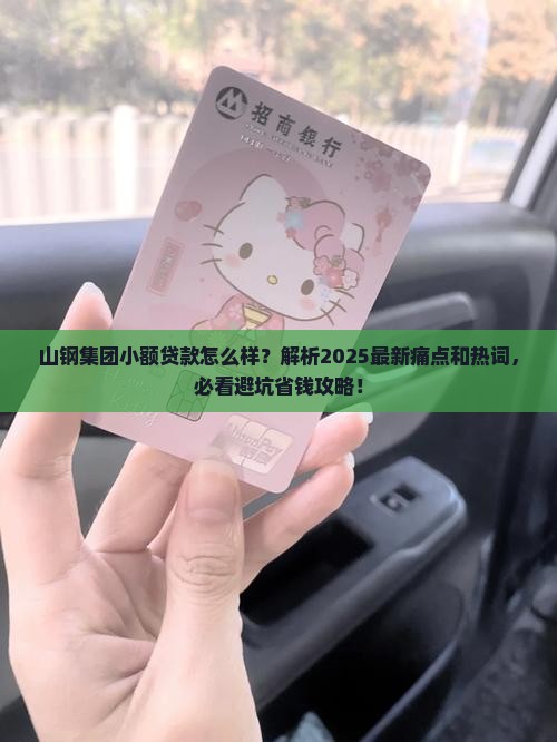 山钢集团小额贷款怎么样