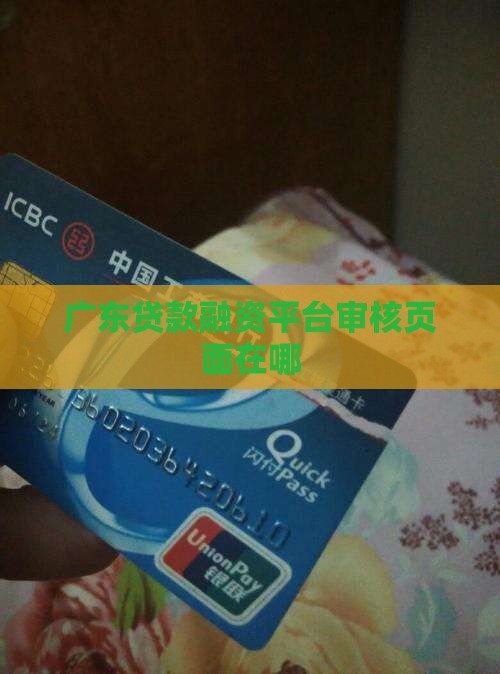 广东贷款平台审核页面在哪