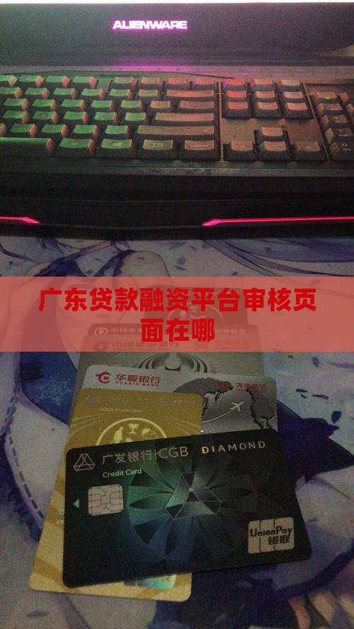 广东贷款平台审核页面在哪