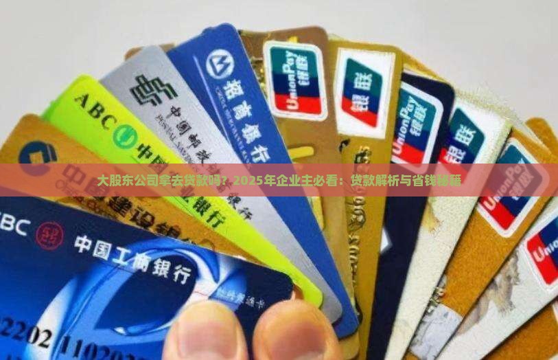 大股东公司拿去贷款吗