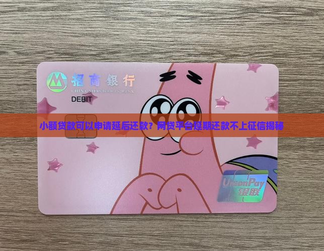 小额贷款可以申请延后还款吗
