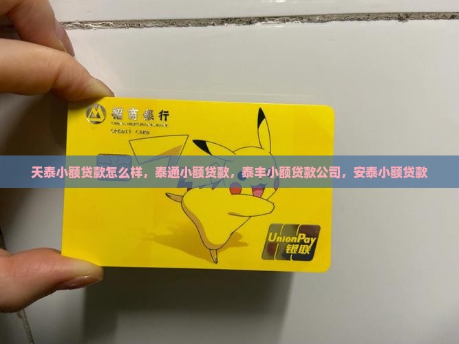 天泰小额贷款