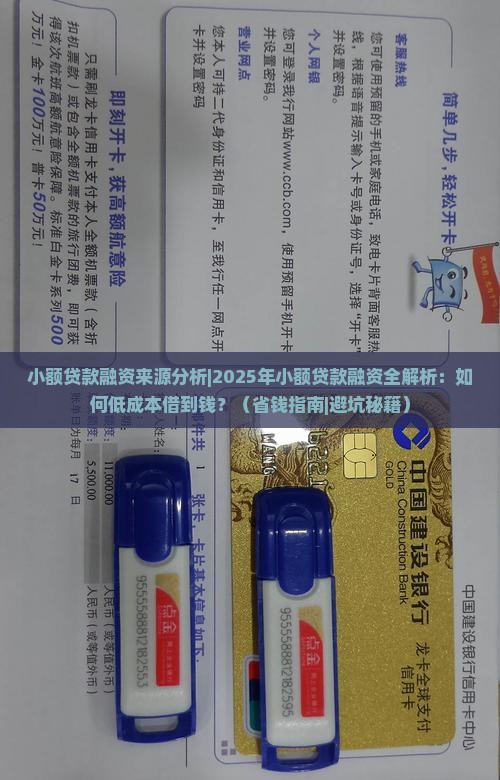 小额贷款融资来源分析