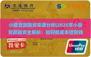 小额贷款融资来源分析