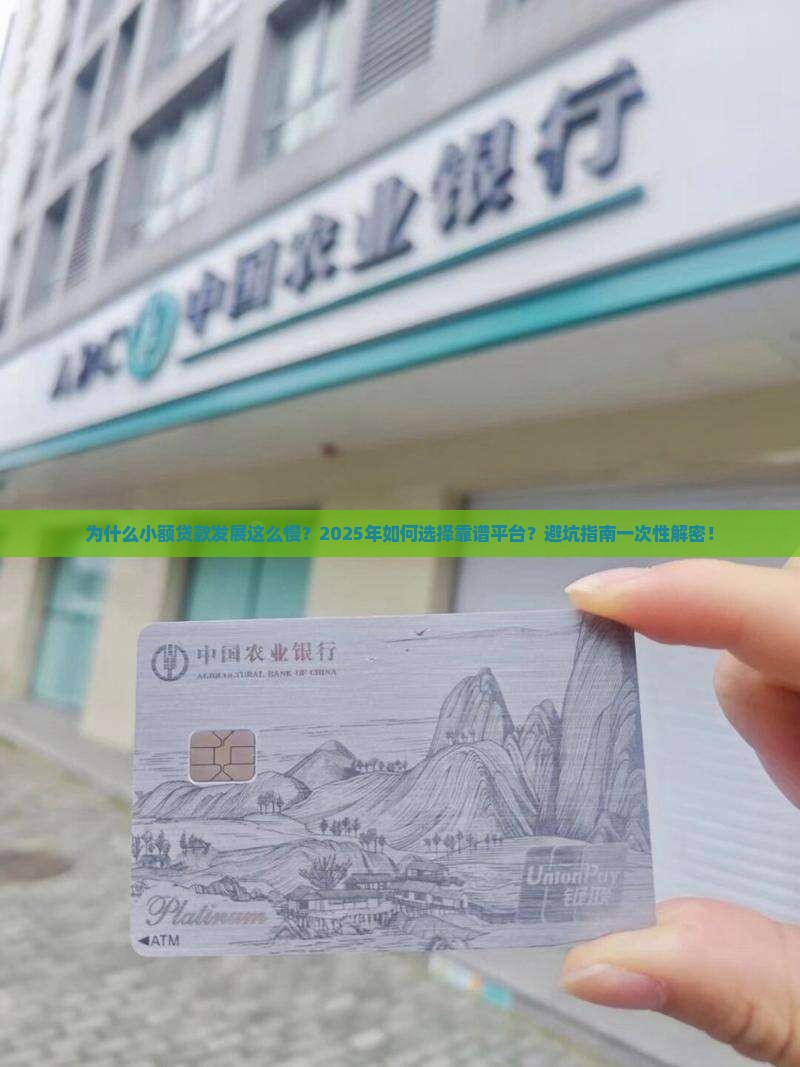 小额贷款发展较慢