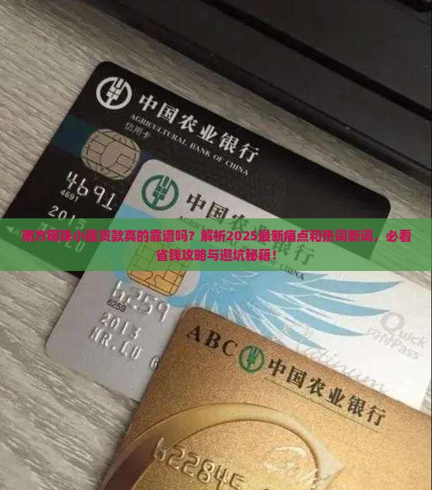 南方明珠小额贷款