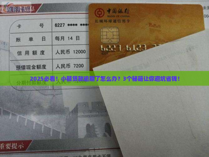 小额贷款逾期怎么处理说