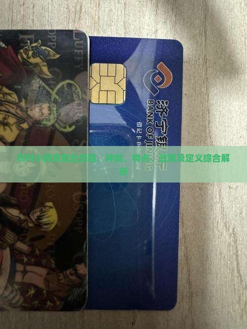 农村小额贷款业 农村小额贷款业