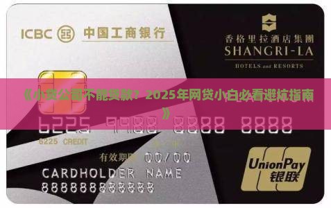 小贷公司不能贷款