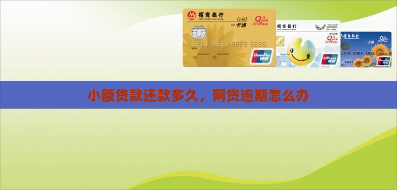 平台小额贷款多长时间还款