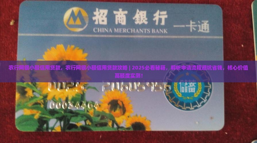 农行网银小额信用贷款