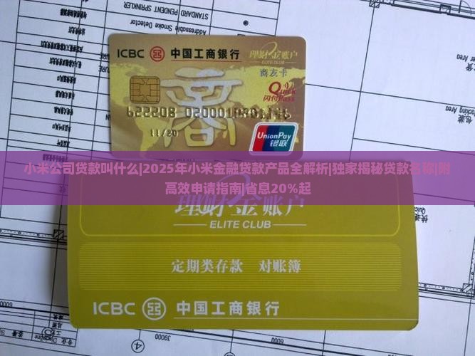 小米公司贷款叫什么