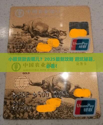 小额贷款到哪里去