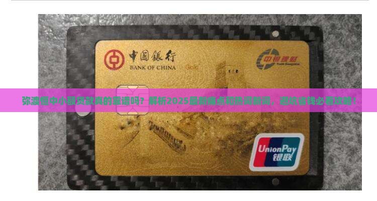 弥渡恒中小额贷款