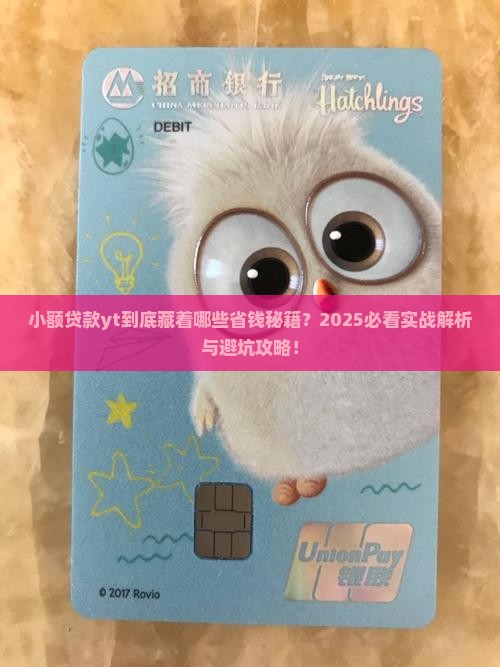 小额贷款yt是什么意思