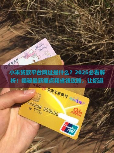 小米贷款平台网址