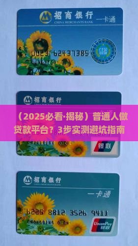 怎么做一个贷款平台