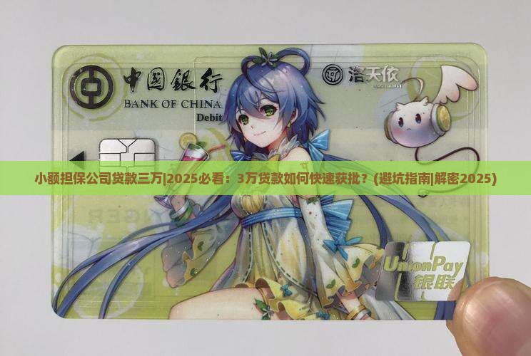 小额担保公司贷款三万