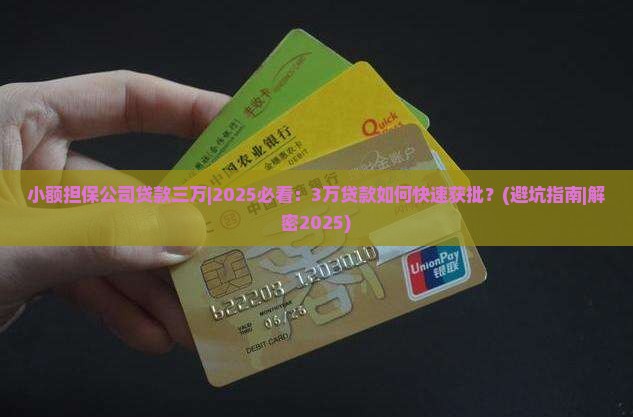 小额担保公司贷款三万