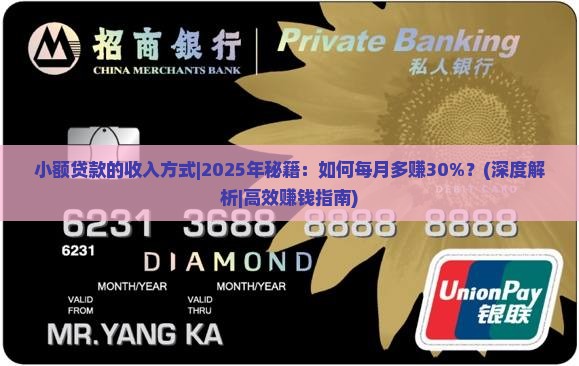 小额贷款的收入方式