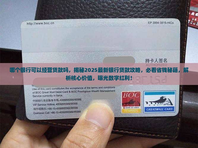 哪个银行可以经营贷款吗
