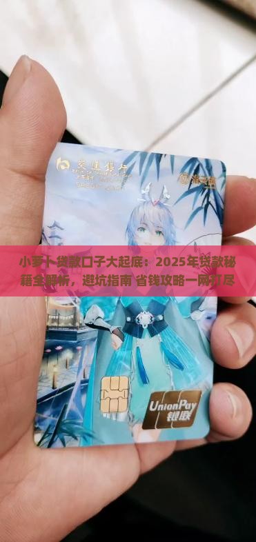 小萝卜贷款系列口子