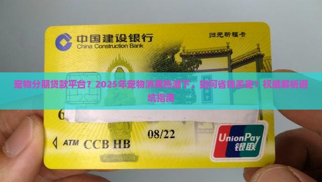 宠物分期贷款平台
