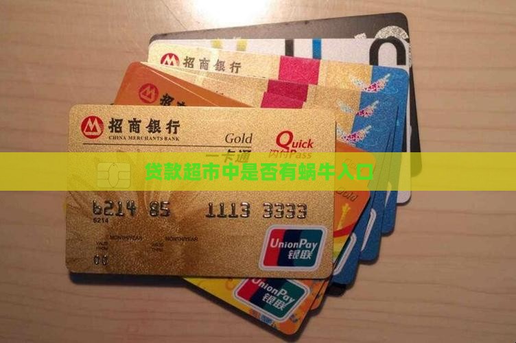 哪个贷款超市有蜗牛入口
