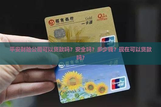 平安财险公司可以贷款吗