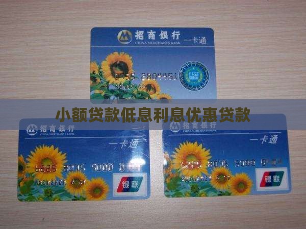小额贷款有低息的吗 小额贷款有低息的吗