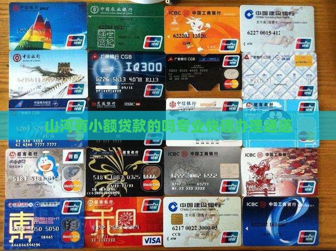 山河有小额贷款的吗