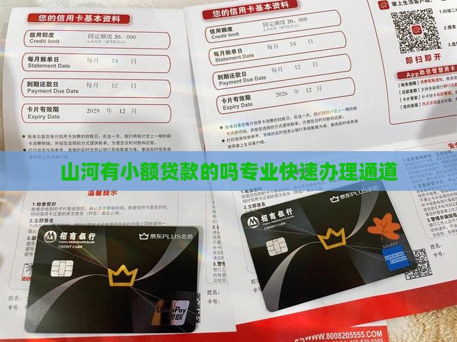 山河有小额贷款的吗