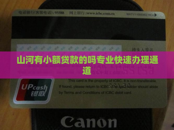 山河有小额贷款的吗