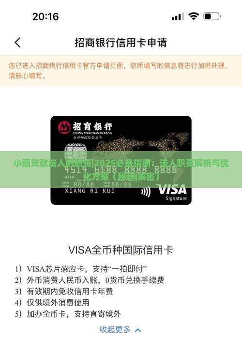 小额贷款法人的职责