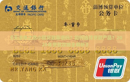 天津泰之然小额贷款