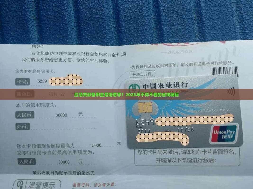 应急贷款备用金是啥意思