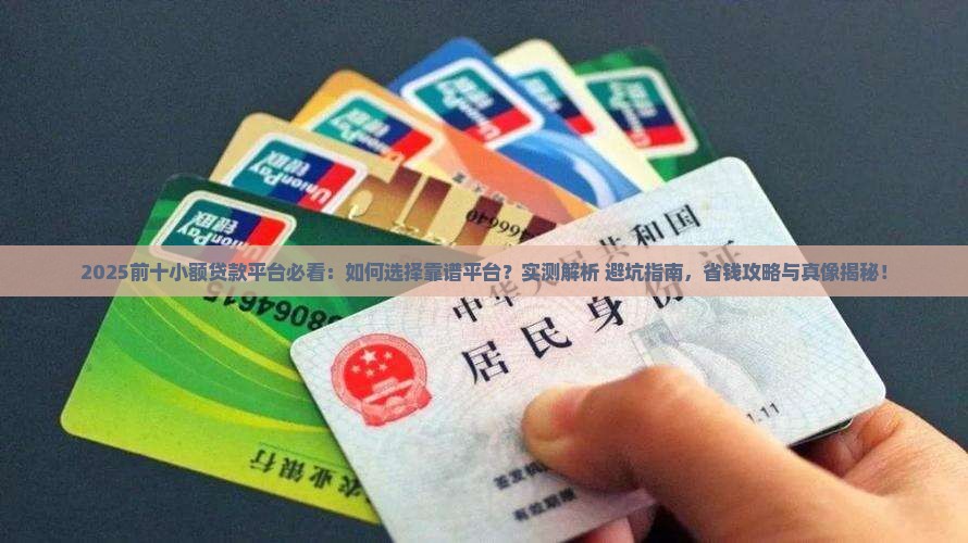 前十小额贷款平台