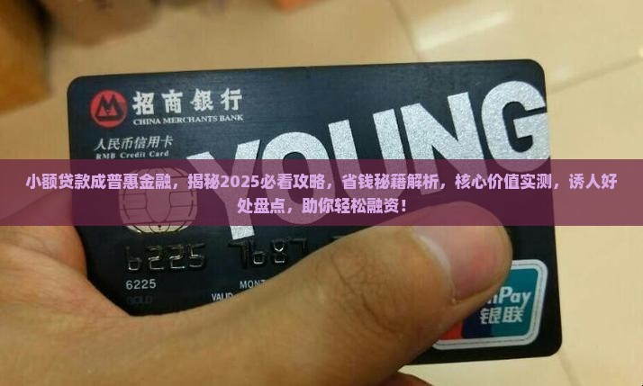 小额贷款成普惠金融