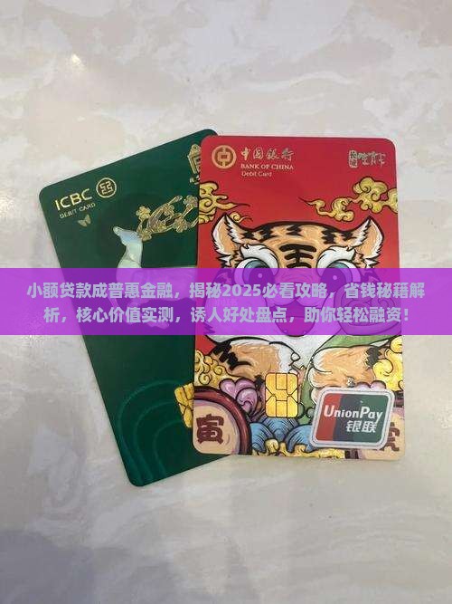 小额贷款成普惠金融