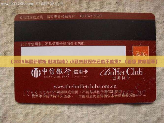 小额贷款现在还可以贷吗