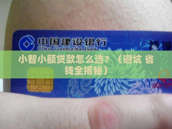 小智小额贷款