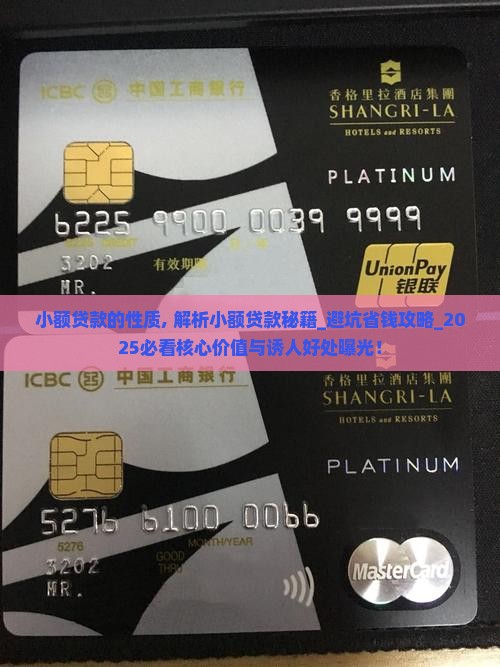 小额贷款的性质