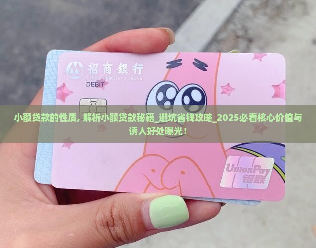 小额贷款的性质