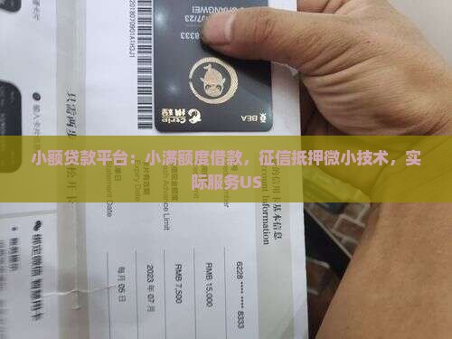 小额贷款US